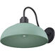 Levitt 1 Light 11.63 inch Natural Black Outdoor Wall Light in Natural Teal
